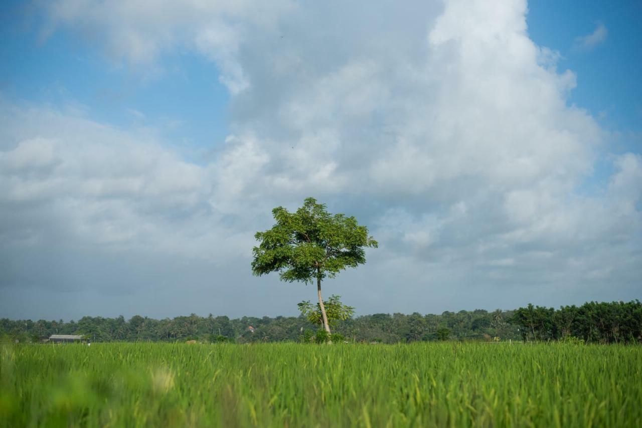 מלון Swahita Ubud מראה חיצוני תמונה